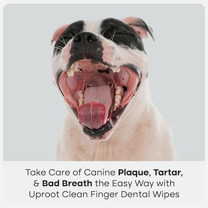 Uproot Clean Pet Dental Finger Wipes: Safe, Rinse-Free, Disposable, 50ct. - Image 3