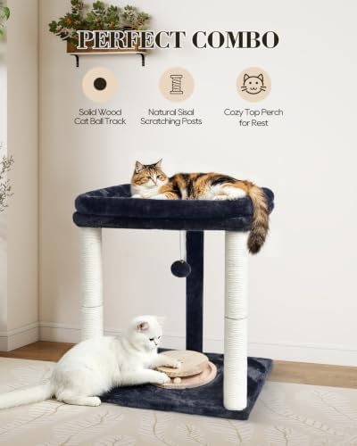 Small Cat Tree with Large Top Perch & Cat Ball Track Toy, Indoor Cat Tower - Image 2