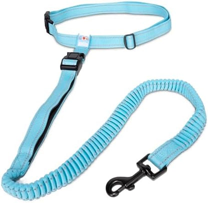Pawtitas Reflective Teal Running Handsfree Puppy or Dog Leash Padded Handle, 5 ft., Medium, Blue by Pawtitas