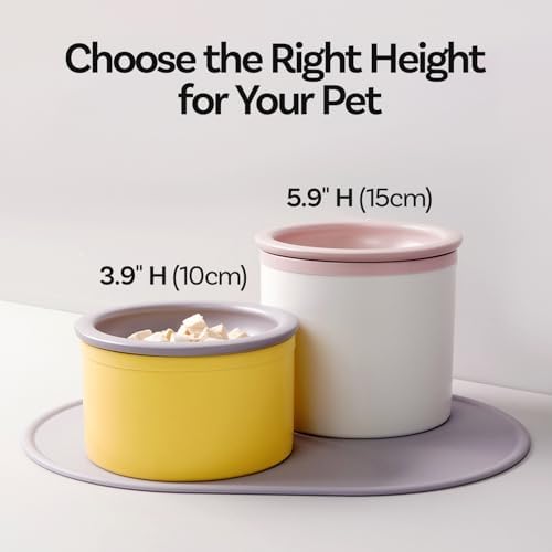 Hello Bowl Elevated Ceramic Cat Bowl with Stand, Raised Whisker-Friendly Feeding Bowl for Cats & Small Dogs, Patented Design, Made in Korea (3.9" H - White, Square/Dry) - Image 5