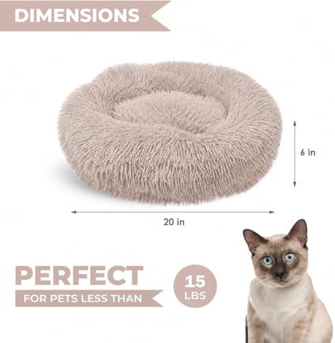 Whiskers & Friends Cat Beds for Indoor Cats & Small Dog, Fluffy Cat Bed - Image 2