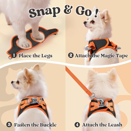 rabbitgoo Dog Harness Small Sized and Leash Set, Step in Soft Vest - Image 2