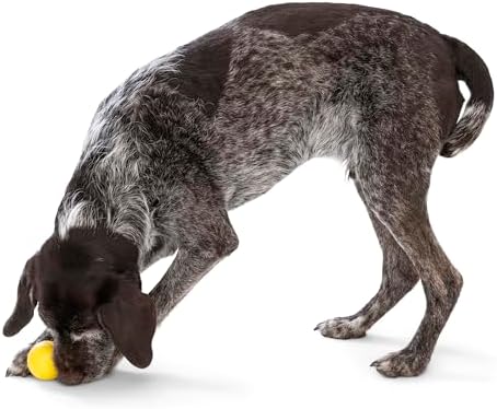 WEST PAW Boundr Ball Dog Fetch Toy – Bouncing Toys for Dogs, Fetch, Catch, Chewing, Play – Floatable, Recyclable Balls – Small Dandelion Yellow/Hot Pink 2-Pack - Image 6