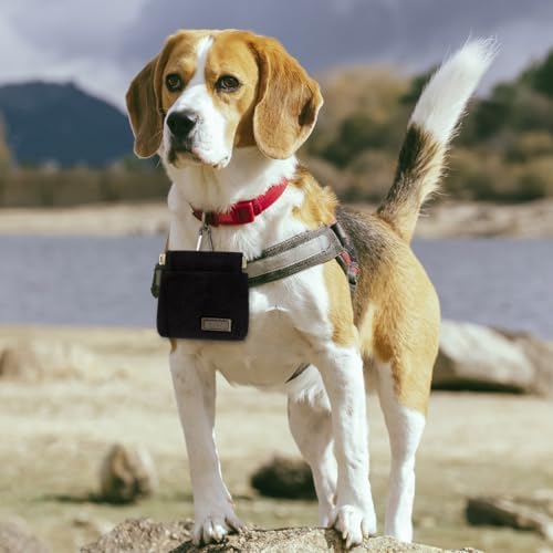 Dog Treat Pouch, Portable Auto Closing Dog Training Treat Bag with Carabiner, Hands Free Pocket Sized Snack Reward Pouch for Puppy Walking Travel Outdoor Use, Black - Image 5