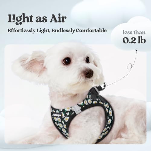 rabbitgoo Dog Harness Medium Sized and Leash Set, Step-in Puppy Pet Vest - Image 3
