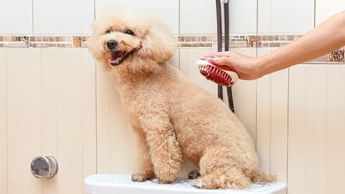CHI Soap Dispensing Palm Brush for Dog Bathing, Grooming, Massage - Image 6