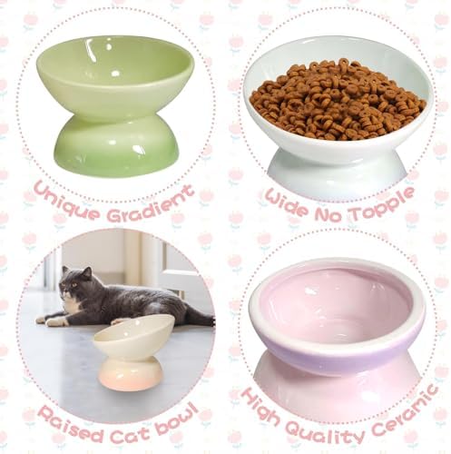 kathson 4 Pcs Ceramic Raised Cat Bowls, Elevated Tilted Cat Food Bowl, Anti Vomiting Pet Food Bowl, Colorful Porcelain Pet Feeder Dish for Cats and Small Dogs, Stress Free(Blue,Green,Purple,Pink) - Image 4