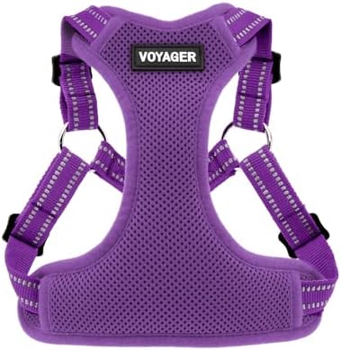 Voyager Step-in Flex Adjustable Dog Harness - Purple, Medium by BestPetSuppliesLLC