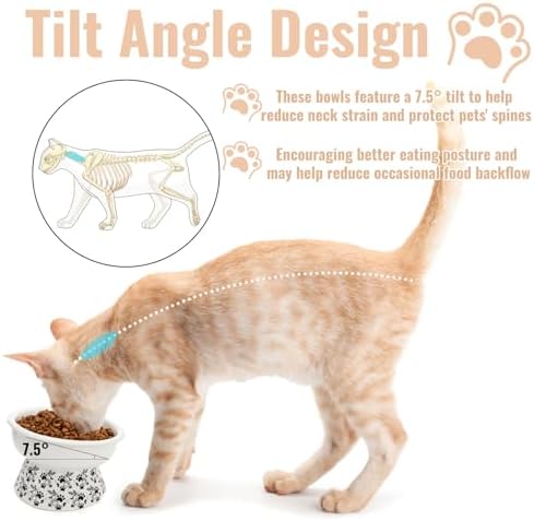 2 Pack Ceramic Elevated Cat Bowls, 6" Extra Wide Tilted Raised Pet Dish, Whisker Friendly Food and Water Bowl for Small Dogs, Anti Vomiting & Protect Pet's Spine, Microwave Dishwasher Safe - Image 4