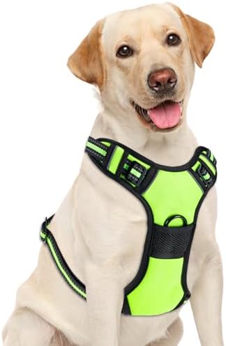 No Pull Dog Harness, Adjustable Reflective Front Clip Pet Vest with Easy Control Handle for Medium Large Dogs (Green,S) by Unknown