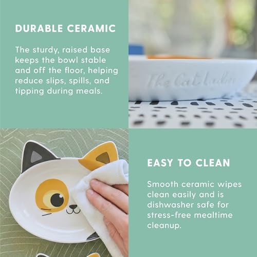 The Cat Ladies Ceramic Cat Bowls - Whisker Friendly Food Bowl - Cute Pet, Kitten Plates - Dishes for Indoor Cats - Dish for Wet Food & Water - Platos para Gatos - Calico, Small - Image 4