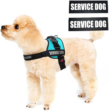 ALBCORP Service Dog Vest Harness – Reflective Service Animal Vest, No-Pull Harness with Handle & Mesh Padding – Sizes XXS-XL for Puppies – 2 Removable Service Patches Included (Small, Blue) - Image 2