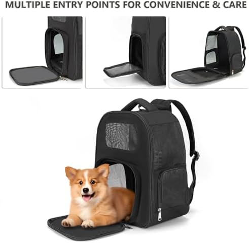 Pet Backpack Carrier for Small Dogs Cats, Airline Approved Travel Bag with Breathable Mesh, Lightweight Foldable Dog Carrier Backpack for Puppies & Kittens up to 15 lbs - Image 3