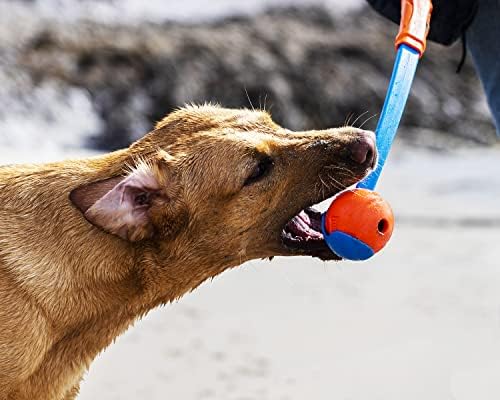 Chuckit! High-Bounce Rubber Fetch Ball Dog Toy, Large 3in, for Big Dogs - Image 2