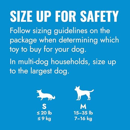 KONG Puppy Activity Ball, Natural Rubber Teething Toy, Medium Puppies, Pink - Image 5