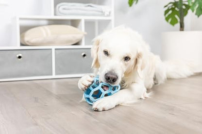 Chuckit! Holee Roller Dog Treat Puzzle Ball, Large (3"), Blue – Interactive Treat & Chew Puzzle Toy for Dogs 60–100 lb – Durable Rubber Fetch Ball for Mental Stimulation – Pack of 1 - Image 3