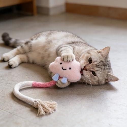 20 Pcs Cat Toy Pack Interactive Kitten Toy Set,Including Cute Catnip Chew Rope Springs Mice Crinkle Ball Furry Balls Toys for Indoor Cat,Pink Kitten Toys with Gift Bag - Image 4