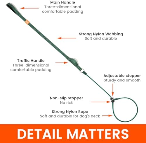 HowGo Slip Lead Dog Leash with 2 Spring-Loaded Stoppers (MintGreen 5.0FT) - Image 5
