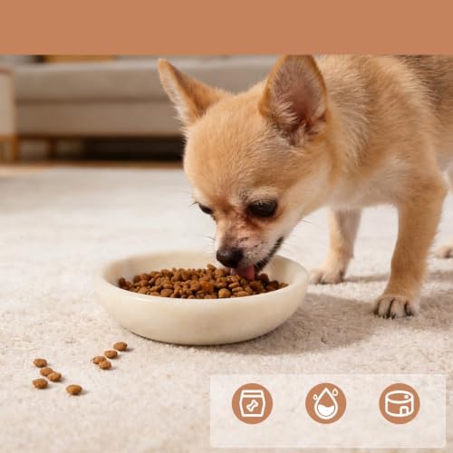 Natural Marble Cat Bowl, Weighted 1.5lb Cat Food Bowl for Small Dog, Small Animal Pet Food Dish Non-Slip, Whisker Fatigue Relief, Premium Ivory White Stone for Home Decor - Image 6