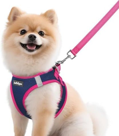 rabbitgoo Dog Harness Small Sized and Leash Set, Step in Soft Vest by rabbitgoo