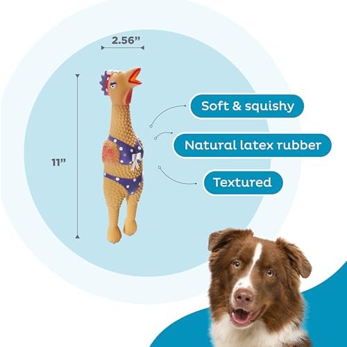 Outward Hound Squawkers Squeaky Latex Dog Toy, Henrietta, 11" - Image 3