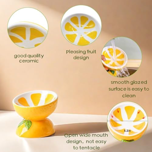 Elevated Cat Bowl Ceramic Raised Cat Food Water Bowls for Indoor Kitten - Image 5