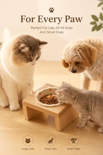 Elevated Cat Bowls with Natural Beech Wood Stand and Ceramic Bowl - Image 6