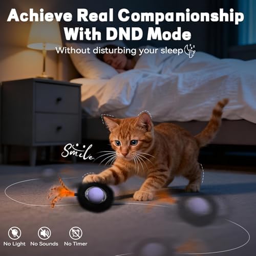 Interactive Cat Toy, Motion Activated Ball & 7 Holes Maze Hide and Seek Mat - Image 6