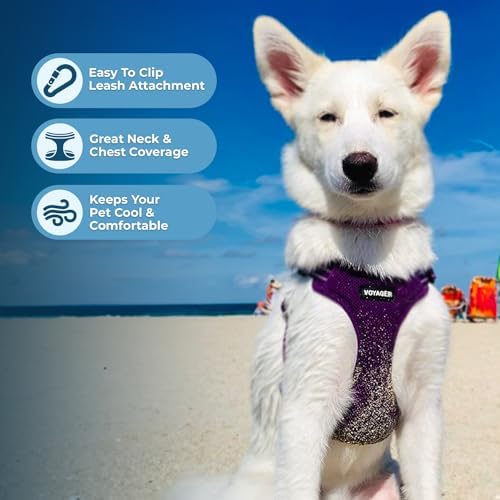 Voyager Step-in Flex Adjustable Dog Harness - Purple, X-Large - Image 5