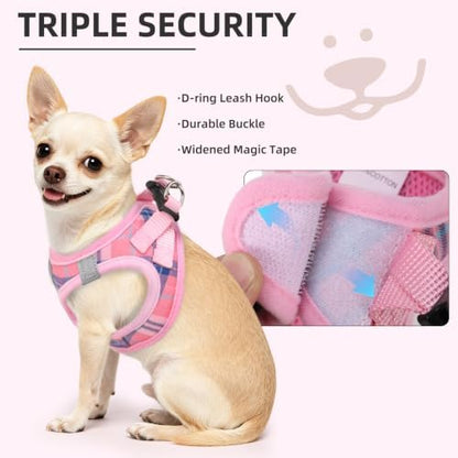 PUPTECK Dog Harness, Collar and Leash Set No Pull for Small Medium Sized - Image 5