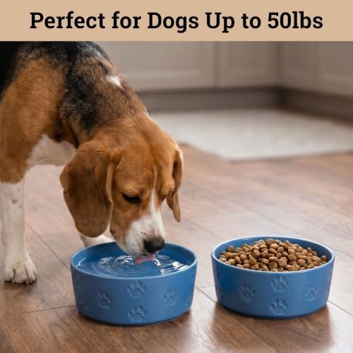 Ceramic Dog Bowl Set of 2 w/ Anti-Skid Base 6.5"W x 2.5"H, 3.8 Cup Capacity - Image 3