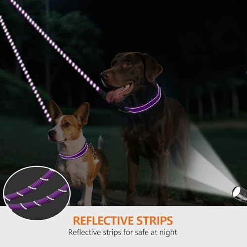 Taglory Double Dog Leash Coupler for Two Dogs, 1/3" Lightweight Dual Leash Extension for Small and Medium Dogs, No Tangle 360° Swivel, Reflective Rope, 30 Inch, Purple - Image 4