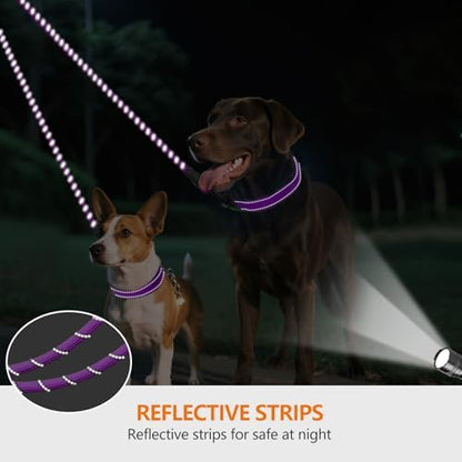 Taglory Double Dog Leash Coupler for Two Dogs, 1/3" Lightweight Dual Leash Extension for Small and Medium Dogs, No Tangle 360° Swivel, Reflective Rope, 30 Inch, Purple - Image 4