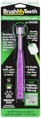 Brush My Teeth Medium Dog Toothbrush - Rounded Brush Head -Soft Flexible Bristles- for Safe and Gentle Brushing for Doggie, Any Medium Breed or Puppy, Daily Brushing Adds Years of Healthy Life by BrushMyTeeth