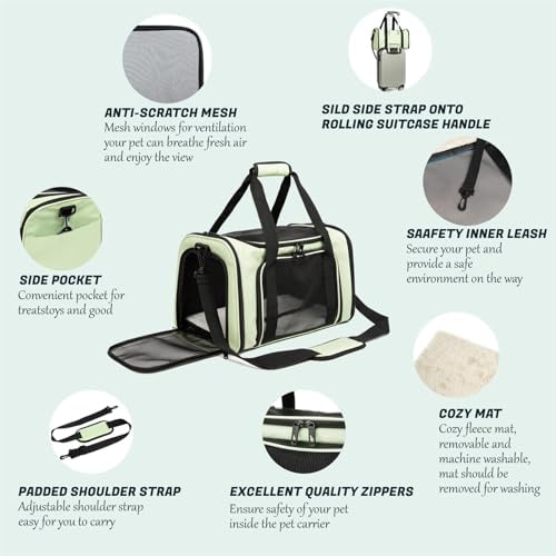 Cat Carrier Dog Carrier Pet Carriers for Medium Small Cats Dogs Puppies up to 15 Lbs,TSA Airline Approved Small Dog Cat Carriers Soft Sided,Collapsible Travel Puppy Carrier (Green, Large) - Image 4