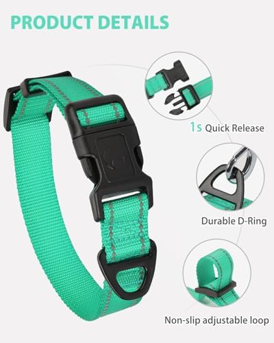Joytale Feather-Light Dog Collar for Small & Medium Dogs, 3/4", Turquoise - Image 4