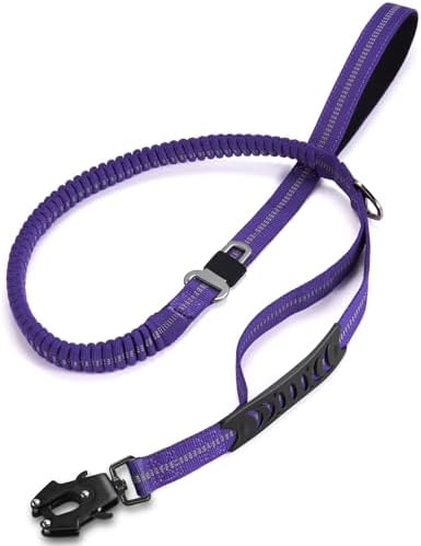 Heavy Duty Dog Leash, 4-6FT Shock Absorbing Dog Leashes with Traffic Handle and Comfortable Padded Handles, Advanced Easy Metal Clip, No Pull Reflective Leash for Medium Large Dogs that Pull (Blue) by TINMARDA