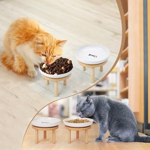 Shallow Elevated Cat Bowls with Bamboo Stand, 5.9 Inch Wide Ceramic Cat Dish Whisker Friendly,Pet Food and Water Plates - Image 6