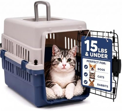 Hard-Sided Pet Carrier for Cats and Small Dogs, 20" Sturdy Travel Kennel with Secure Wire Door & 360° Ventilation, Portable Plastic Crate for Vet Visits & Car Travel (Blue/Grey) by FreePet