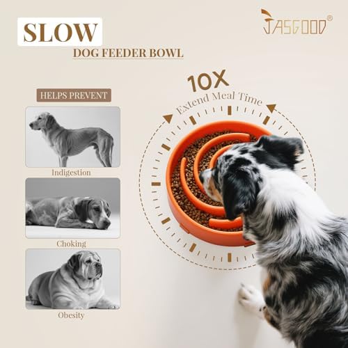 JASGOOD Slow Feeder Dog Bowl - Anti-Gulping, Prevents Bloat & Choking, Healthy Design for Large & Medium Dogs - Image 3