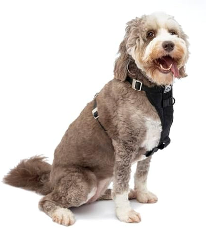 Kurgo Enhanced Strength Tru-Fit Smart Harness, Black, Extra Large by Kurgo