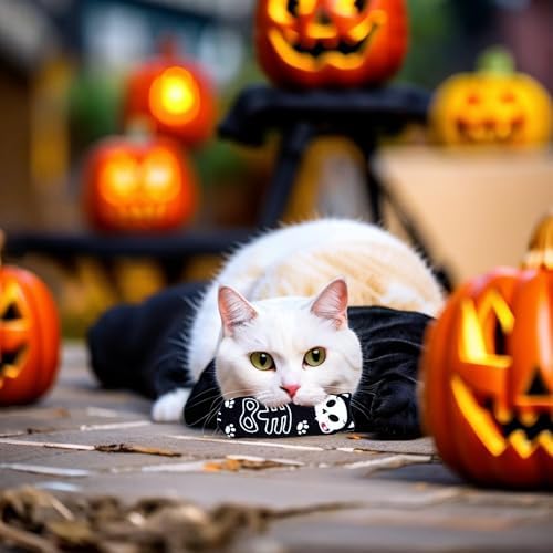 PET SHOW 8 Pack Halloween Cat Kicker With Catnip Crinkle Sound for Indoor Cats - Cute Ghost Pumpkin Plush Kittens Shape Natural Interactive Pet Kitty Toy - Image 5