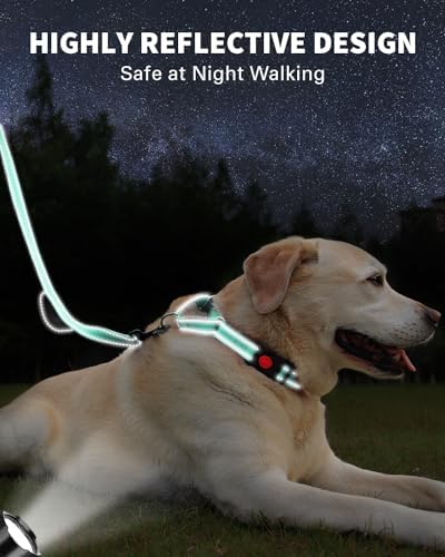 FunTags Martingale Dog Collar and Leash Set for Medium Dogs, Locking Buckle - Image 5