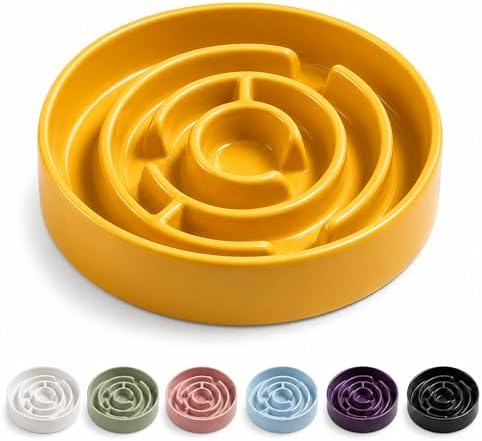 Ceramic Slow Feeder Dog Bowl, 1.5 Cup Puzzle Dish for Small Medium Dogs by Unknown