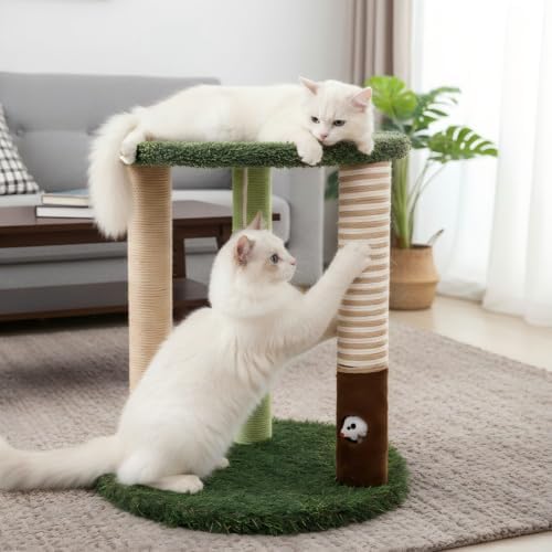Woochpet Cat Scratching Post Small Cat Tree Tower with Soft Cat Bed for Cat - Image 4