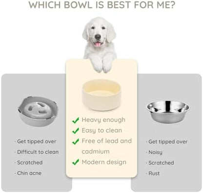SPUNKYJUNKY 13.5OZ Ceramic Dog and Cat Bowl, Modern Cute Weighted Food Water Bowl for Replacement Beige (2 Pack) - Image 3
