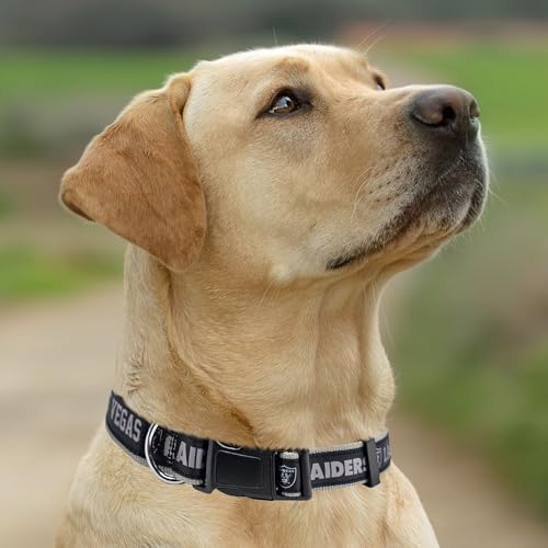Pets First NFL Raiders Licensed PET COLLAR, Large - Heavy-Duty, Strong, and Durable Dog Collar. Available in 31 Football Teams and 4 Sizes - Image 5
