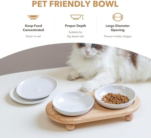 Havniva Elevated Cat Bowls, Cat Food and Water Bowl Set, Ceramic Cat Bowl - Image 5
