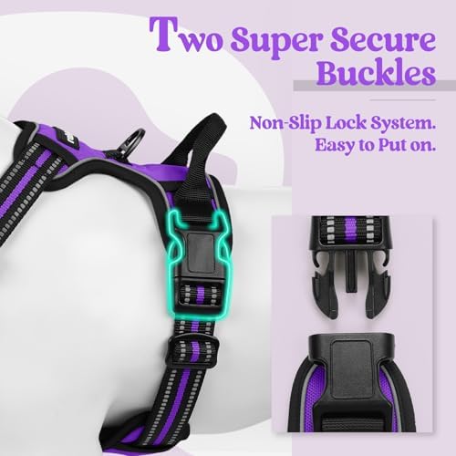 rabbitgoo Dog Harness, No Pull for Large Dogs with 2 Leash Clips, Pet Vest - Image 3