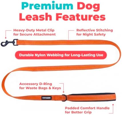 Best Pet Supplies Voyager Nylon Dog Leash - Orange, Large - Image 2